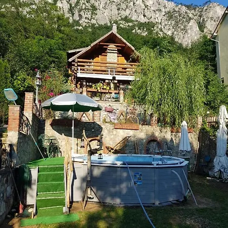 Barbu Ionel Holiday home *