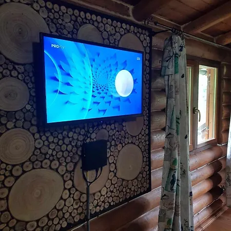 Holiday home Barbu Ionel *