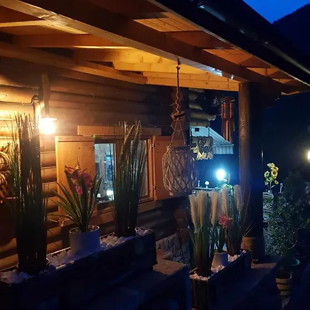 Holiday home Barbu Ionel Baile Herculane